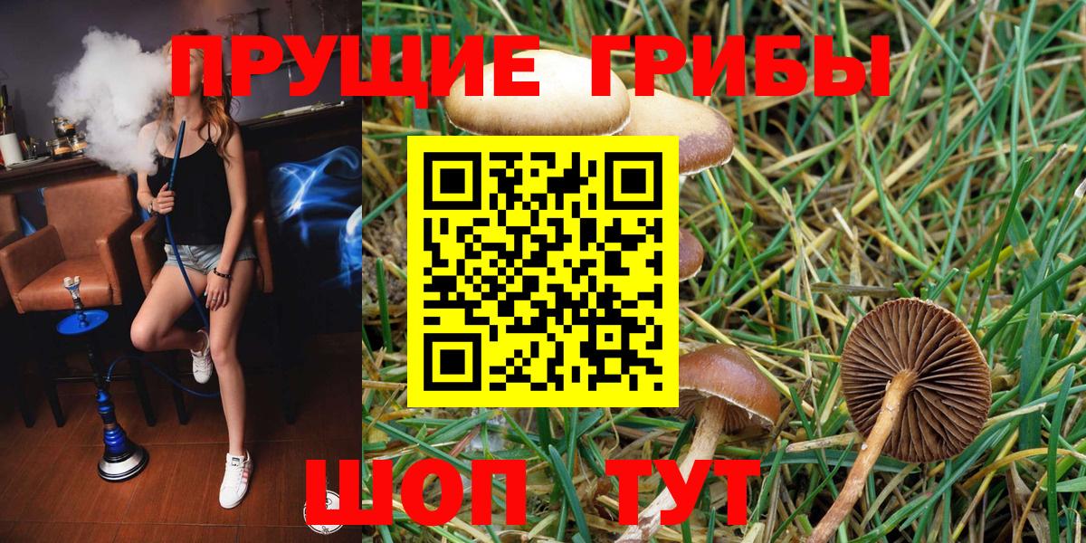 Псилоцибиновые грибы Magic Shrooms  Псилоцибиновые грибы мухоморы  Старая Русса  Вход с VPN 
